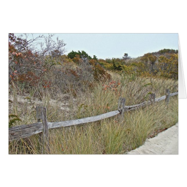 Parque estatal Dunes and Fence Island Beach (Anverso (Horizontal))