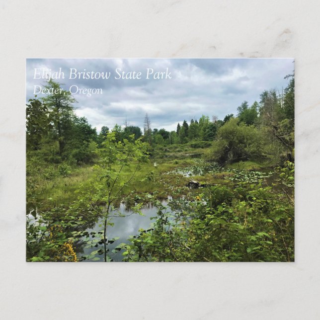 Parque Estatal Elijah Bristow, Dexter, Postal de O (Anverso)