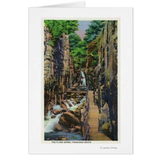 Parque estatal Franconia Notch 2 (Frente)