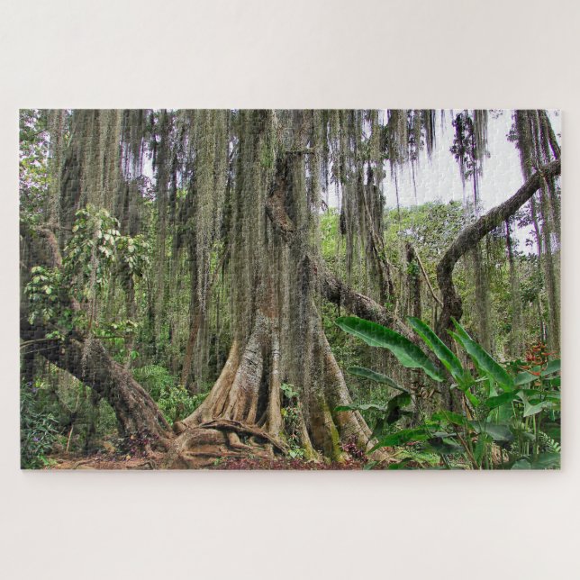 Parque Gallineral del rompecabezas de San Gil Jig  (Horizontal)