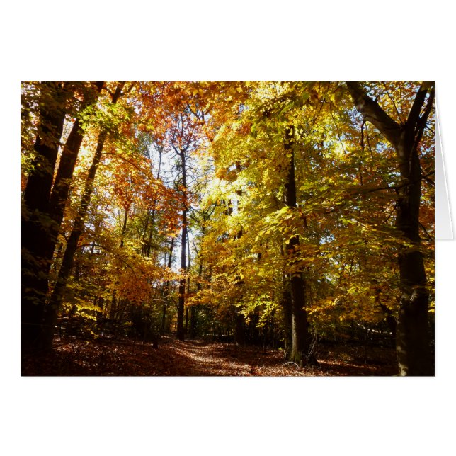 Parque Greenbelt en la escena natural de Maryland  (Anverso (Horizontal))