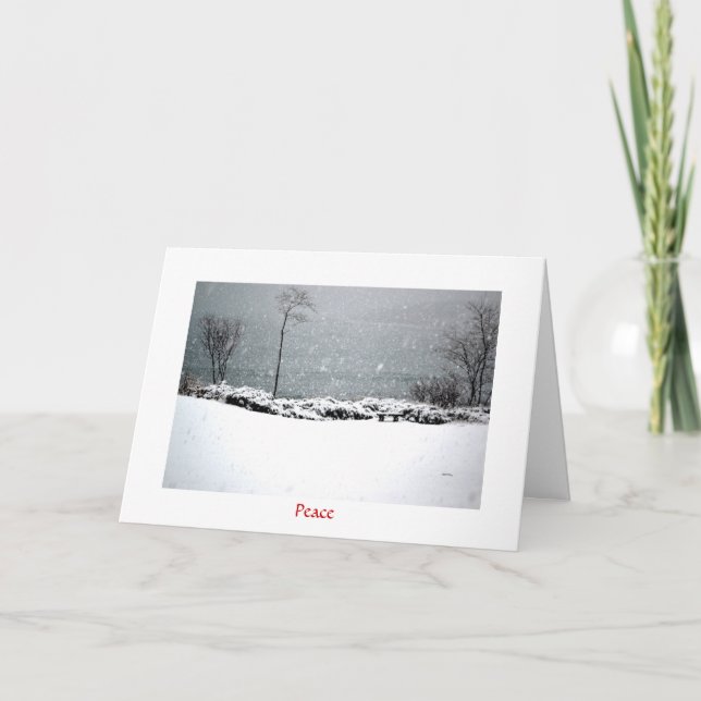 Parque Hartley Mason - Tarjeta de vacaciones - Paz (Anverso)