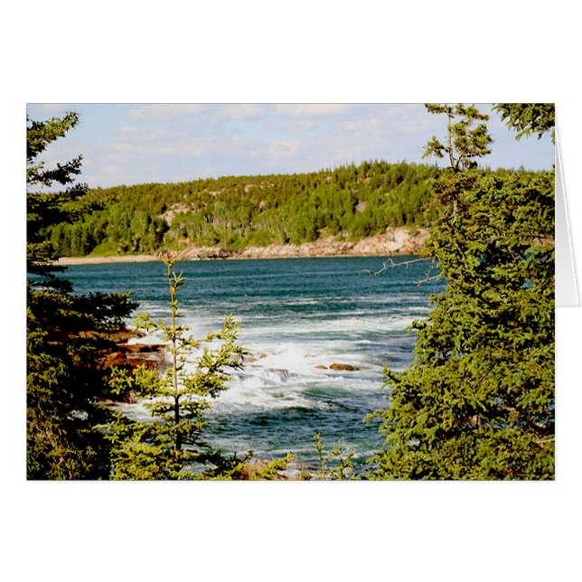 Parque nacional Arcadia a través de los árboles (Anverso (Horizontal))