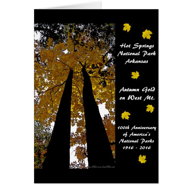 Parque Nacional Centennial Hot Springs Otumt Gold (Frente)