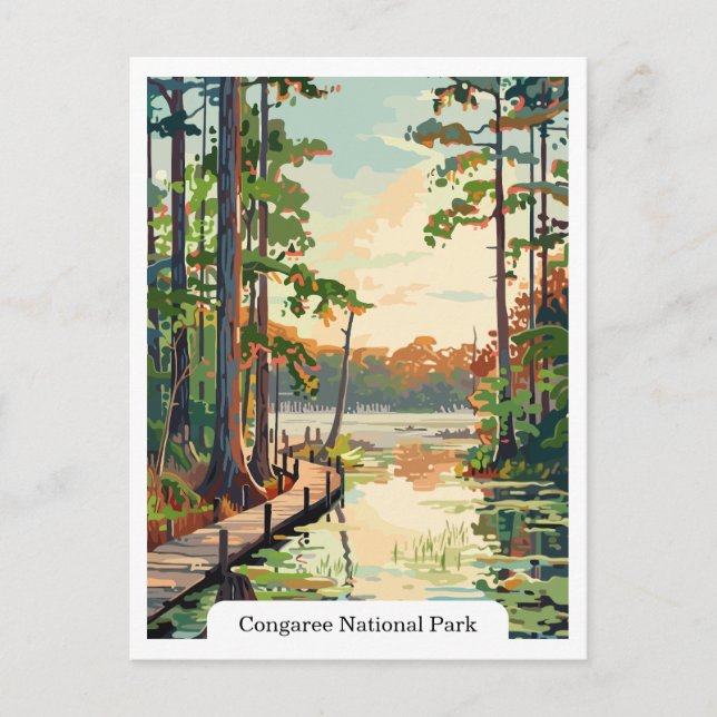 Parque Nacional Congaree EE. UU. Tarjeta Postal (Anverso)