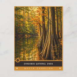 Parque Nacional Congaree | Tarjeta Postal Antigua