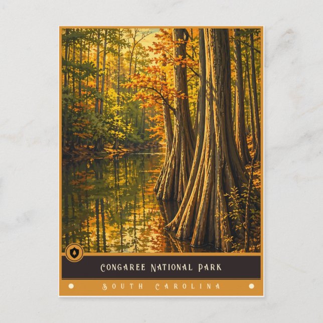 Parque Nacional Congaree | Tarjeta Postal Antigua (Anverso)