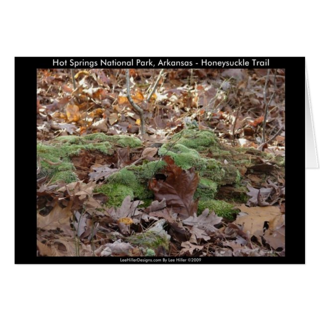 Parque nacional de Hot Springs, AR - Sendero de ch (Anverso (Horizontal))