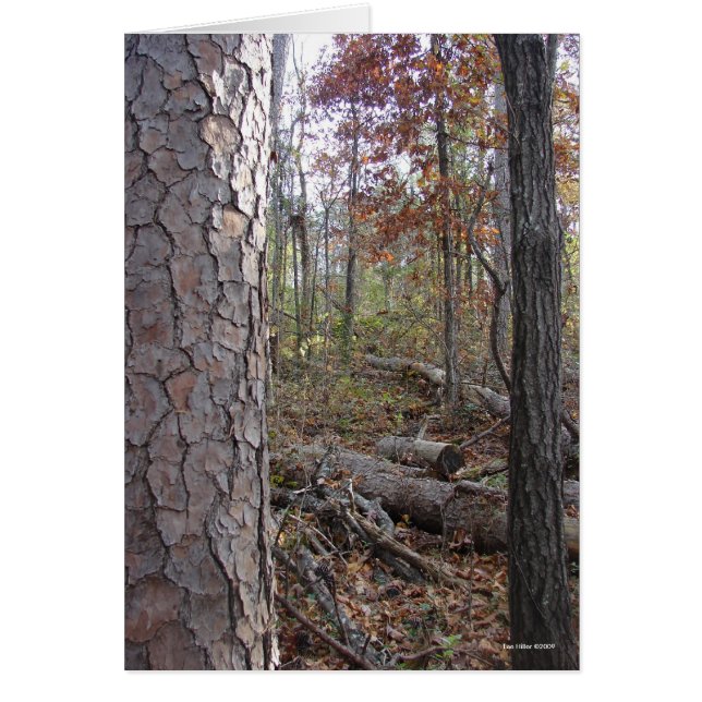 Parque nacional de Hot Springs Mt., sendero de RA  (Frente)