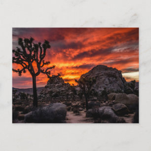 Parque nacional de la yuca en la postal de la