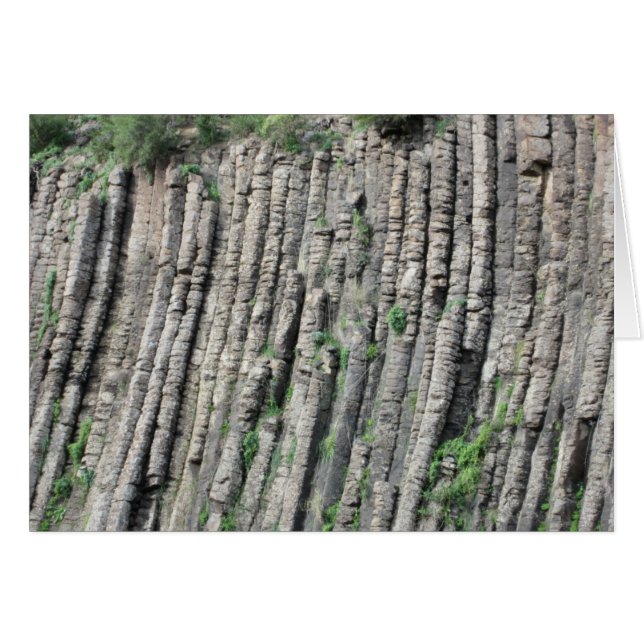 Parque nacional de los tubos de órganos, Victoria  (Anverso (Horizontal))