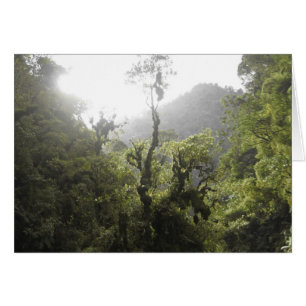 Parque nacional de Manu