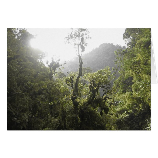 Parque nacional de Manu (Anverso (Horizontal))