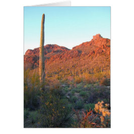 Parque nacional de Saguaro