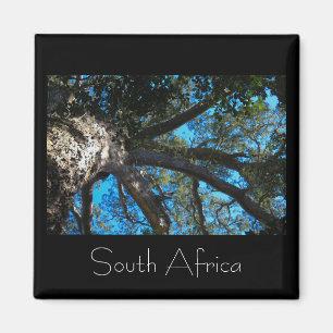 Parque nacional de Tsitsikamma, imán en Sudáfrica