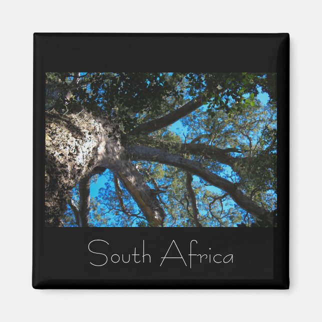 Parque nacional de Tsitsikamma, imán en Sudáfrica (Frente)