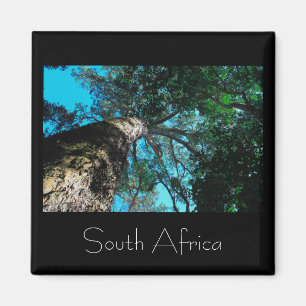 Parque nacional de Tsitsikamma, imán en Sudáfrica