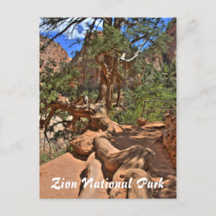 Parque nacional de Zion, postal de Utah