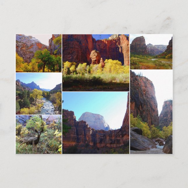 Parque Nacional de Zion, Utah, postal de Collage (Anverso)