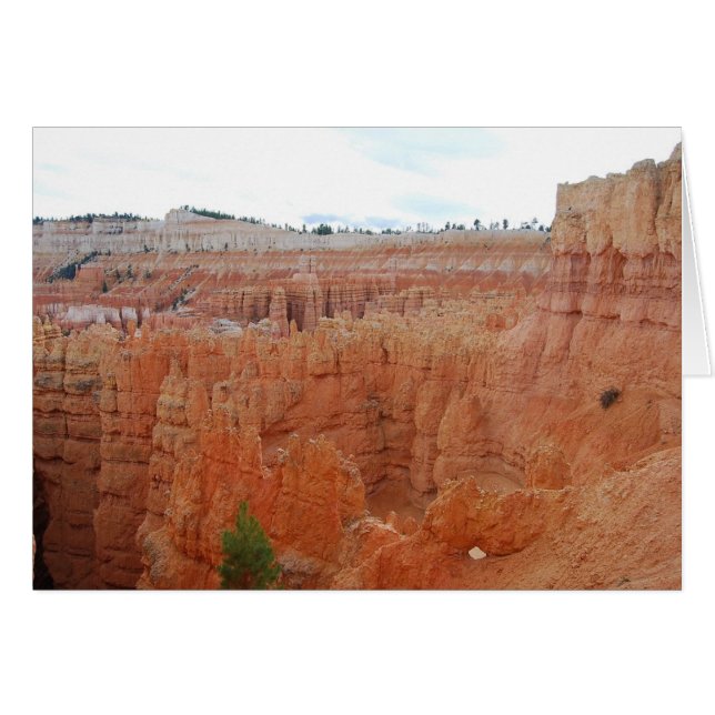 Parque Nacional del Cañón Bryce, Utah, Card (Anverso (Horizontal))