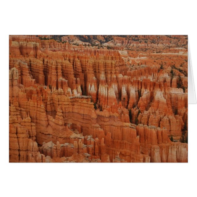 Parque Nacional del Cañón Bryce, Utah, Card (Anverso (Horizontal))