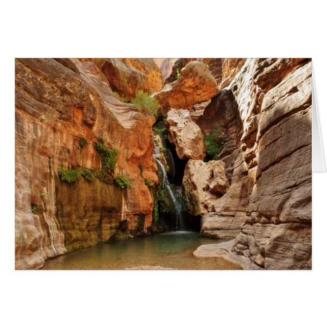 Parque nacional del Gran Cañón, Arizona (Anverso (Horizontal))