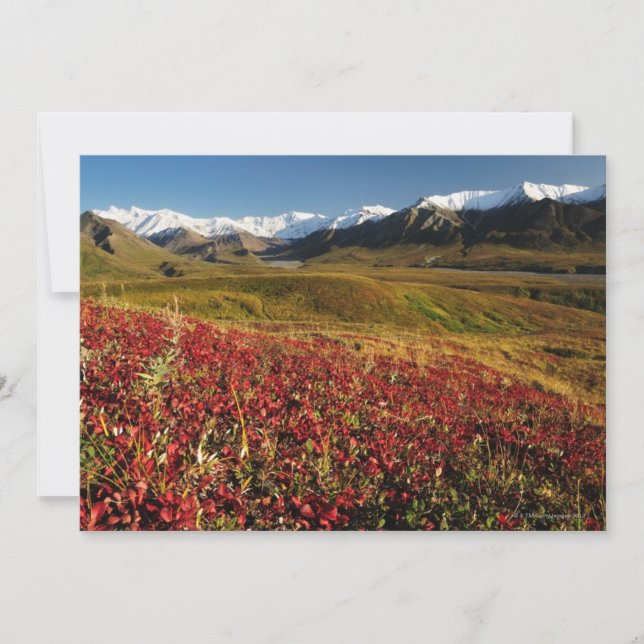 Parque nacional Denali (Anverso)