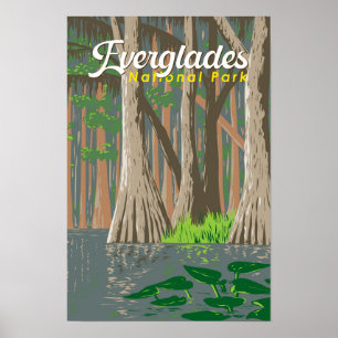 Parque nacional Everglades Ilustracion Viajes Arte