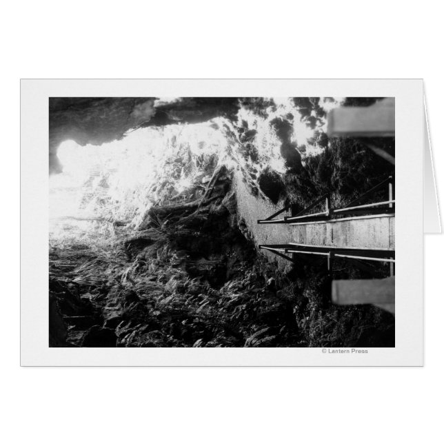 Parque nacional Hawaii, vista de un tubo de lava (Anverso (Horizontal))