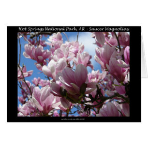 Parque nacional Hot Springs AR Saucer Magnoia Gift