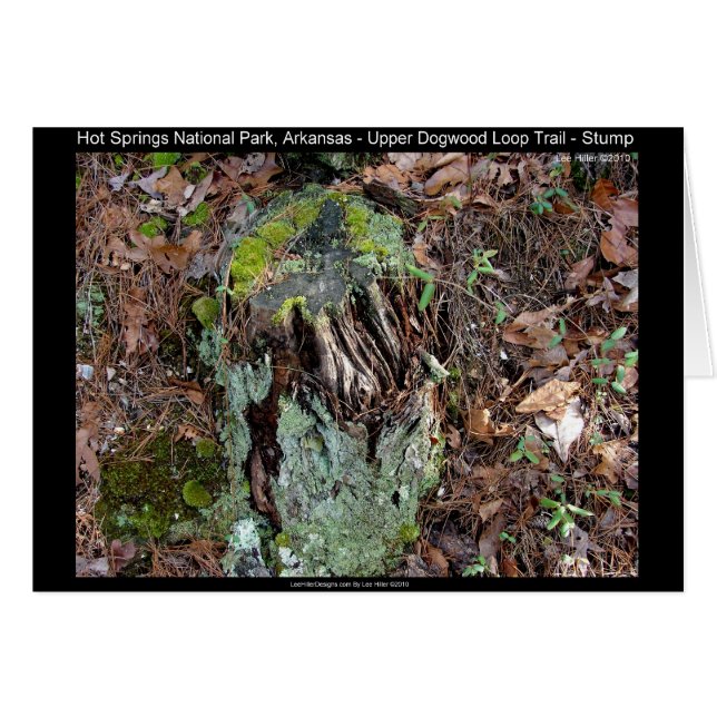 Parque nacional Hot Springs, AR Upper Dogwood Loop (Anverso (Horizontal))