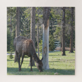 Parque nacional Jasper, rompecabezas de Alberta Ca