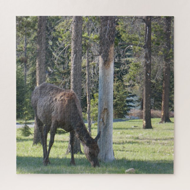 Parque nacional Jasper, rompecabezas de Alberta Ca (Vertical)