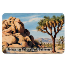 Parque Nacional Joshua Tree - Imán