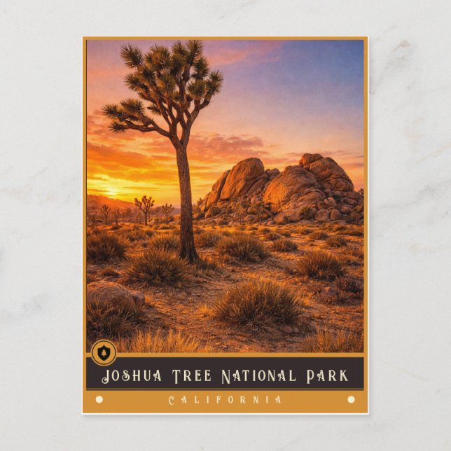 Parque Nacional Joshua Tree | Tarjeta Postal Antig (Anverso)