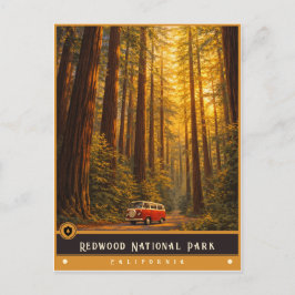 Parque Nacional Redwood | Tarjeta Postal Antigua