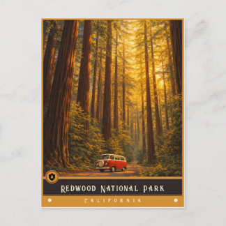 Parque Nacional Redwood | Tarjeta Postal Antigua