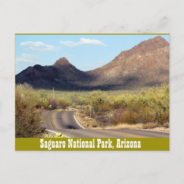 Parque Nacional Saguaro, postal Tuscon Arizona (Anverso)