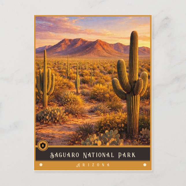 Parque Nacional Saguaro | Tarjeta Postal Antigua d (Anverso)