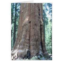 Parque nacional Sequoia