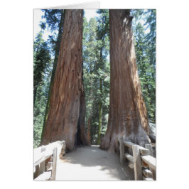 Parque nacional Sequoia