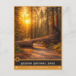 Parque Nacional Sequoia | Tarjeta Postal Antigua