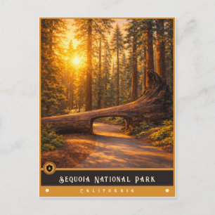Parque Nacional Sequoia Tarjeta Postal Antigua
