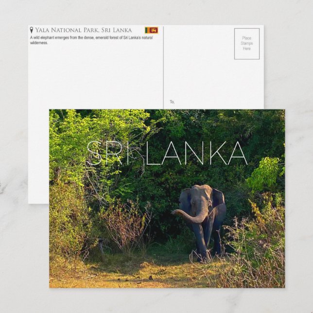Parque Nacional Yala, Sri Lanka Tarjeta Postal de  (Anverso / Reverso)