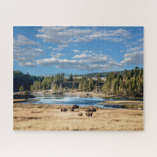Parque nacional Yellowstone: El rompecabezas de Bú
