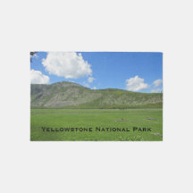 Parque nacional Yellowstone Green Meadow