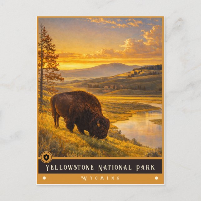 Parque Nacional Yellowstone | Tarjeta Postal Antig (Anverso)