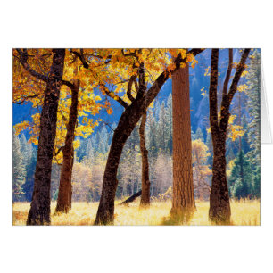 Parque Nacional Yosemite