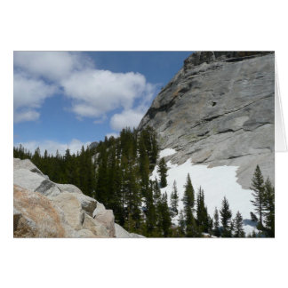 Parque nacional Yosemite de nevadas de granito II