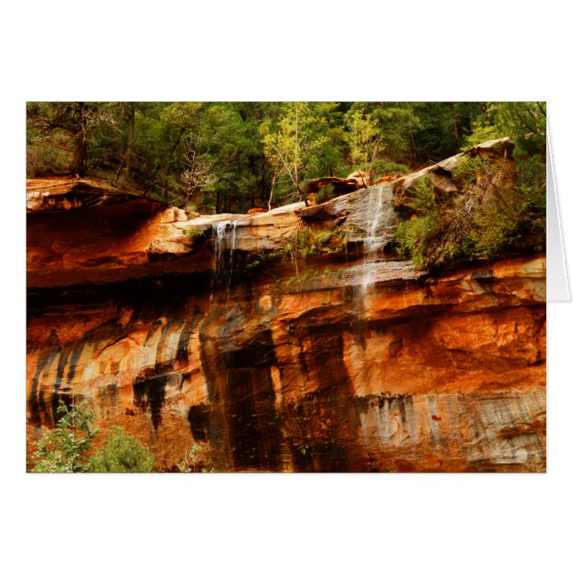 Parque nacional Zion Utah Blank (Anverso (Horizontal))